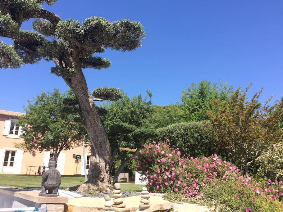 Bastide Languedocienne De Standing - Pezenas Le Clos De L'Amandier Экстерьер фото